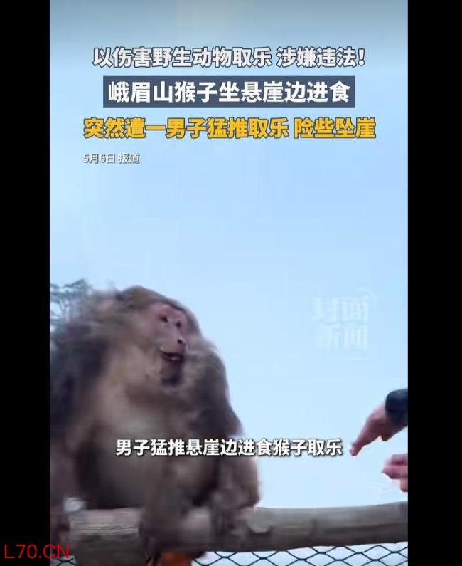 男子推峨眉山猴险致坠崖 景区:正调查