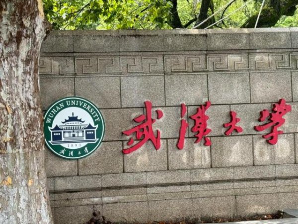 武大自己卷进去，太失策