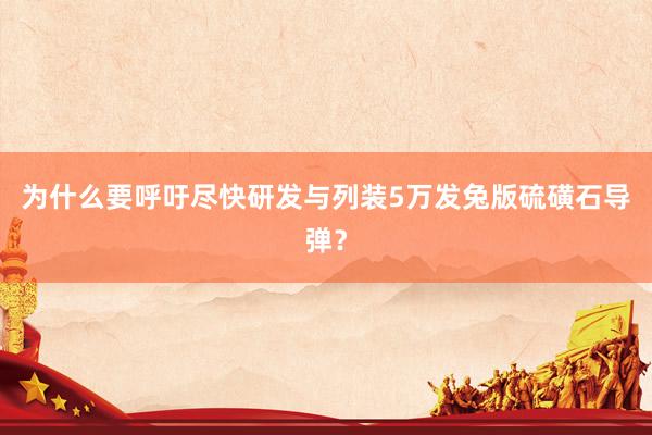 为什么要呼吁尽快研发与列装5万发兔版硫磺石导弹？