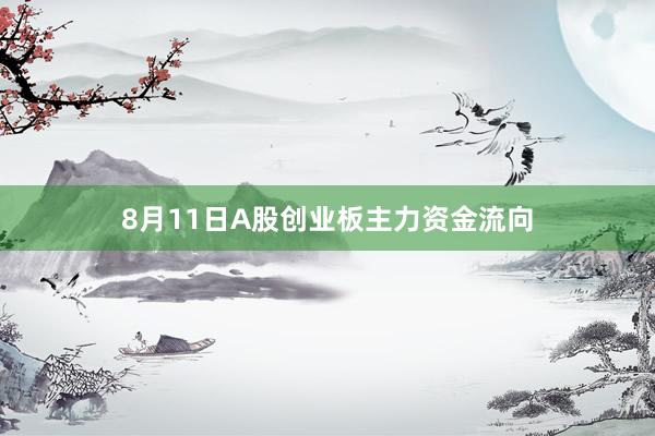 8月11日A股创业板主力资金流向