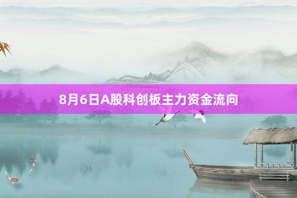 8月6日A股科创板主力资金流向