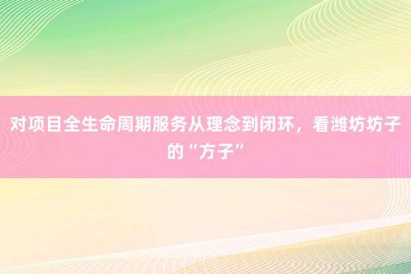对项目全生命周期服务从理念到闭环，看潍坊坊子的“方子”