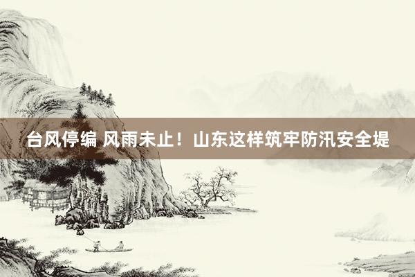 台风停编 风雨未止！山东这样筑牢防汛安全堤