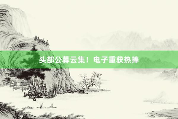 头部公募云集！电子重获热捧