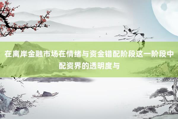 在离岸金融市场在情绪与资金错配阶段这一阶段中配资界的透明度与