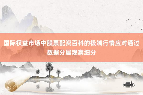 国际权益市场中股票配资百科的极端行情应对通过数据分层观察细分