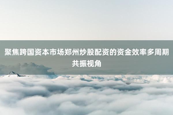 聚焦跨国资本市场郑州炒股配资的资金效率多周期共振视角