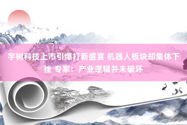 宇树科技上市引爆打新盛宴 机器人板块却集体下挫 专家：产业逻辑并未破坏