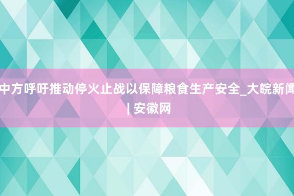 中方呼吁推动停火止战以保障粮食生产安全_大皖新闻 | 安徽网