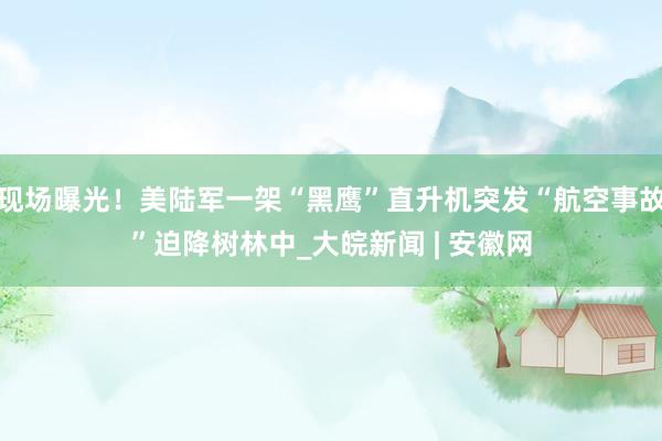 现场曝光！美陆军一架“黑鹰”直升机突发“航空事故”迫降树林中_大皖新闻 | 安徽网