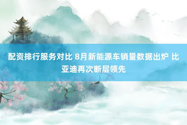 配资排行服务对比 8月新能源车销量数据出炉 比亚迪再次断层领先