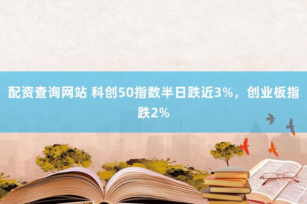 配资查询网站 科创50指数半日跌近3%，创业板指跌2%