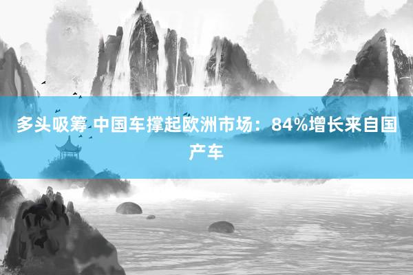 多头吸筹 中国车撑起欧洲市场：84%增长来自国产车